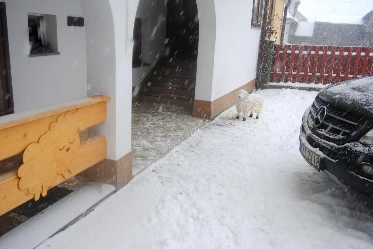 Miedzy Owcami Daire Sromowce Wyzne Dış mekan fotoğraf