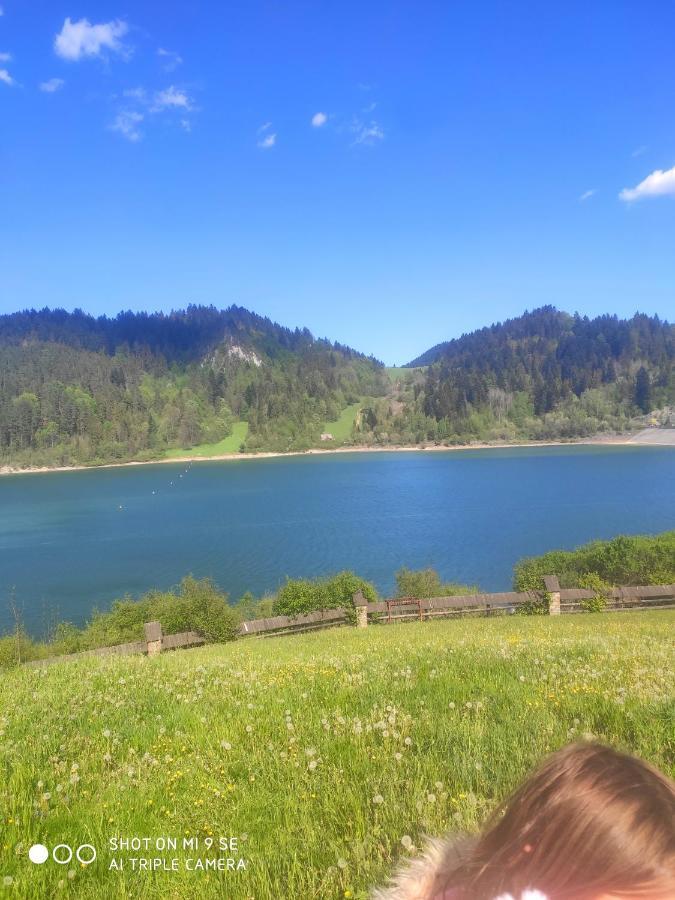 Miedzy Owcami Daire Sromowce Wyzne Dış mekan fotoğraf